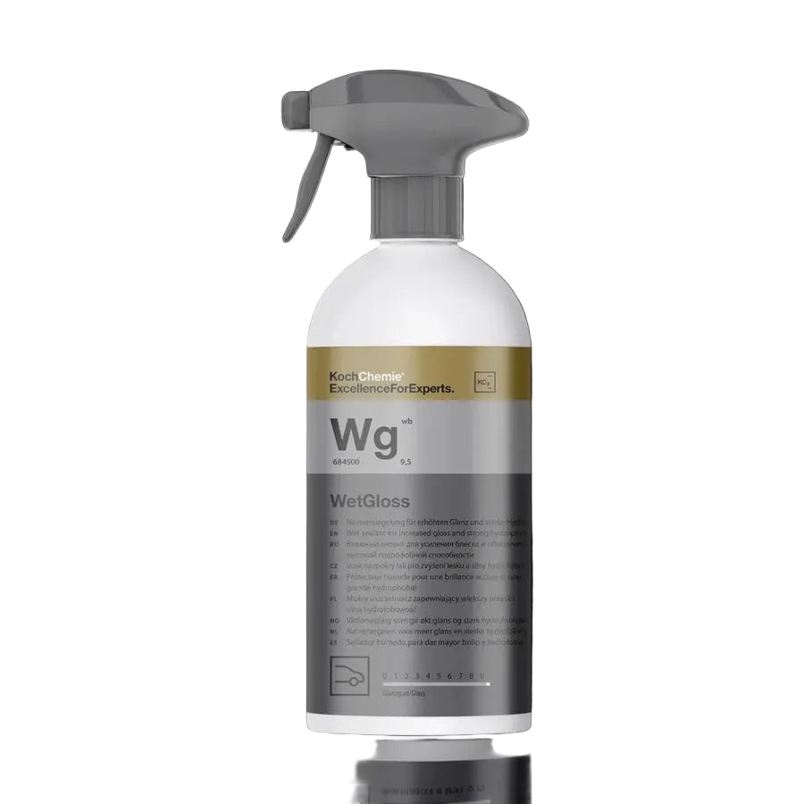 Wet Gloss
