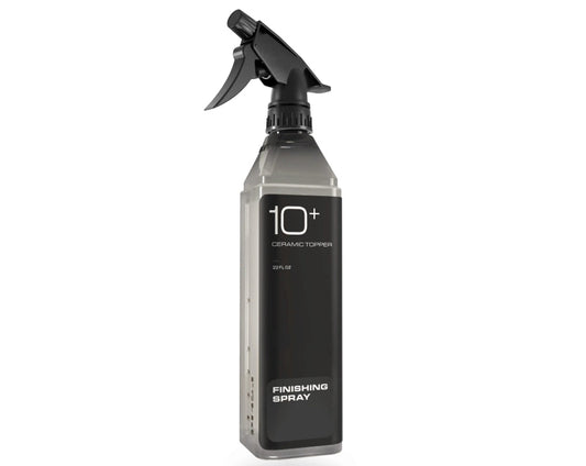 10+ FINISHING SPRAY