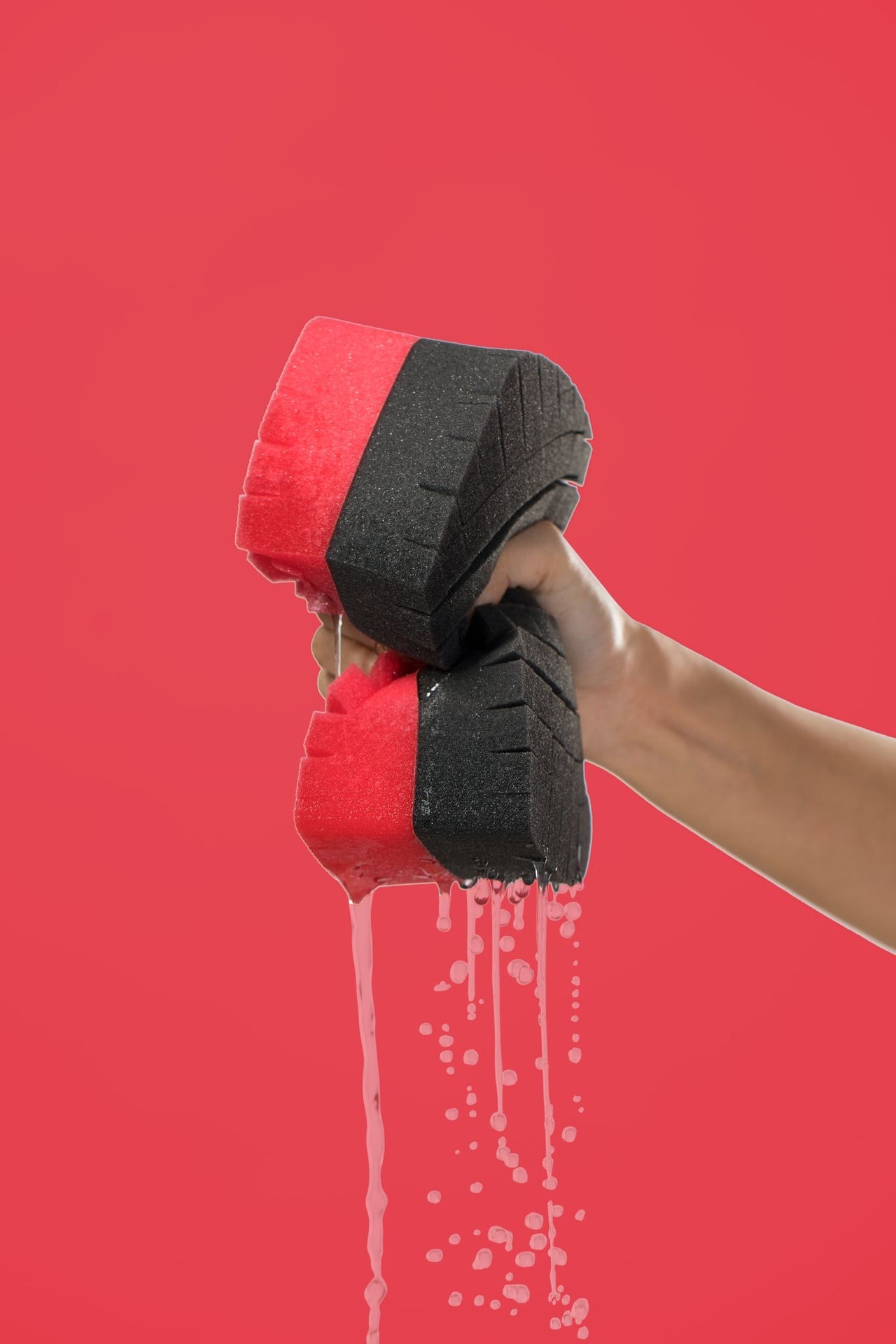 LEGACY SPONGE