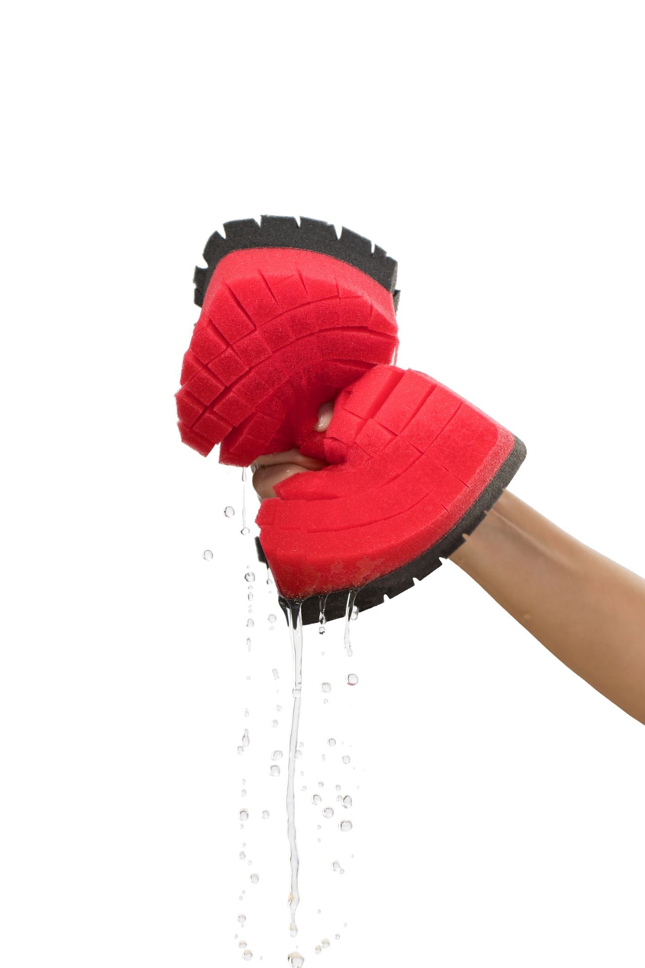 LEGACY SPONGE